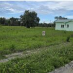 listing image thumbnail with ID 90817
