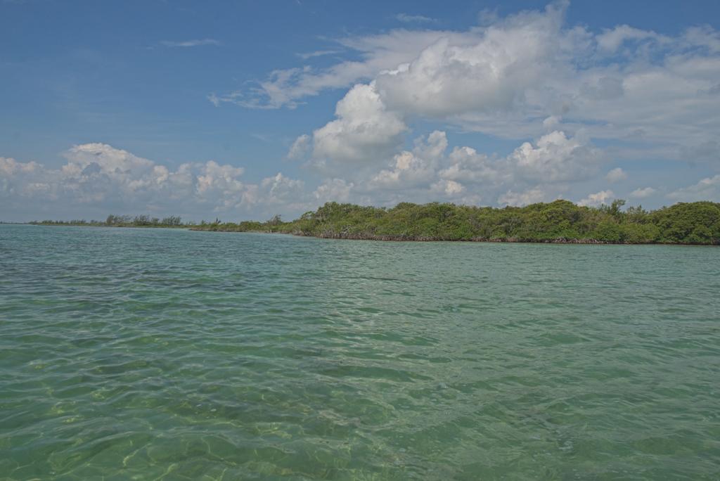 listing image with ID 100219