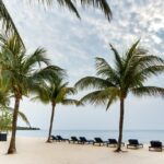listing image thumbnail with ID 80764
