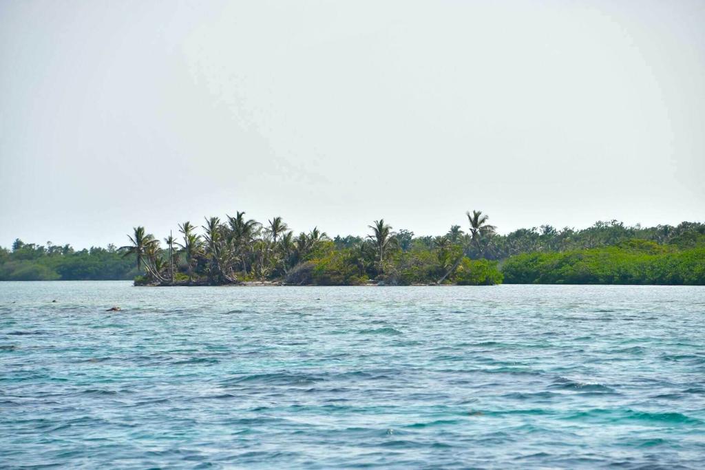 listing image with ID 104022