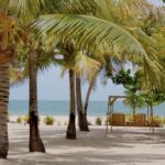 listing image thumbnail with ID 90057