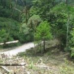 listing image thumbnail with ID 93163