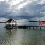 listing image thumbnail with ID 88322