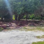 listing image thumbnail with ID 102721