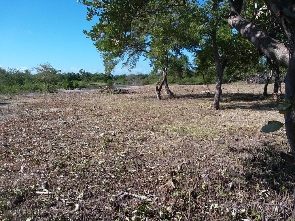 listing image with ID 76959
