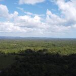 listing image thumbnail with ID 77457