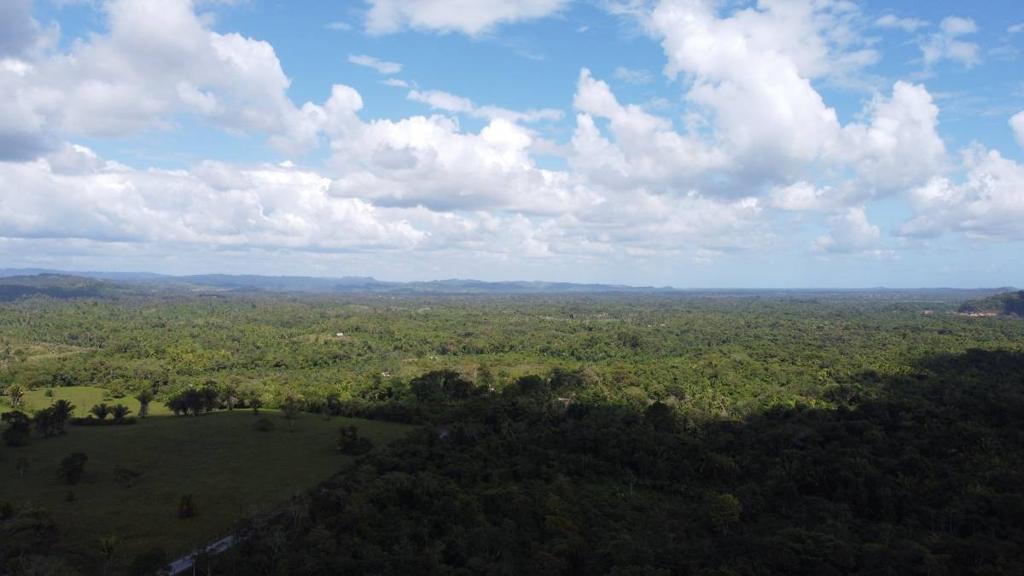 listing image with ID 77457
