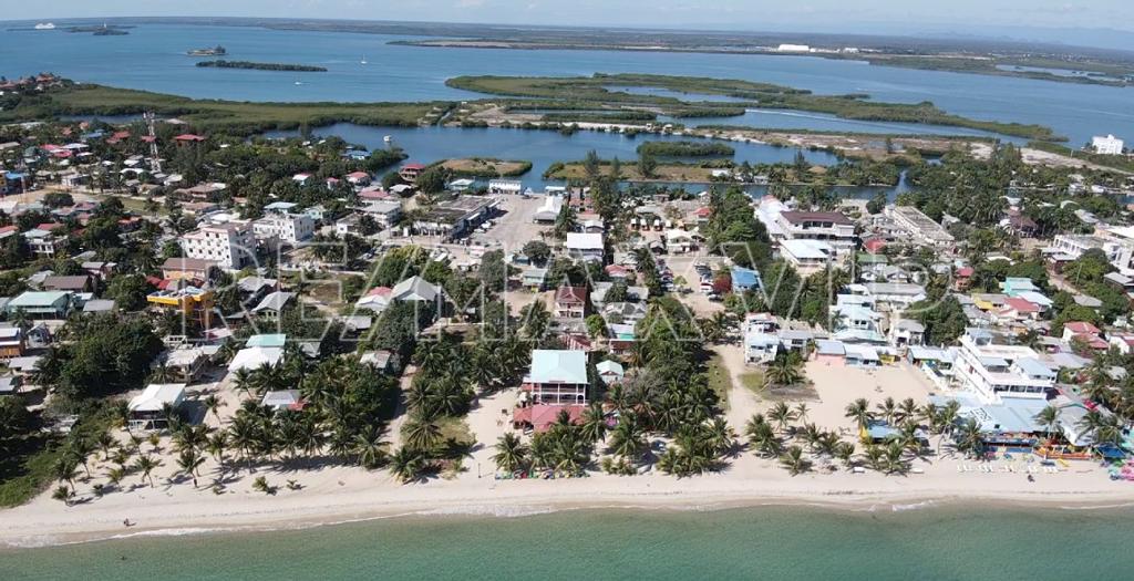 listing image with ID 91613