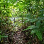 listing image thumbnail with ID 87272