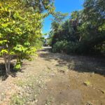 listing image thumbnail with ID 91484