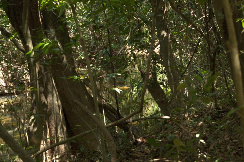 listing image with ID 80336
