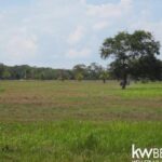 listing image thumbnail with ID 107370