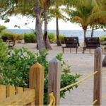 listing image thumbnail with ID 90058