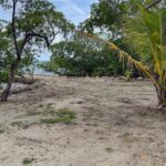 listing image thumbnail with ID 84099