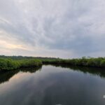 listing image thumbnail with ID 105724