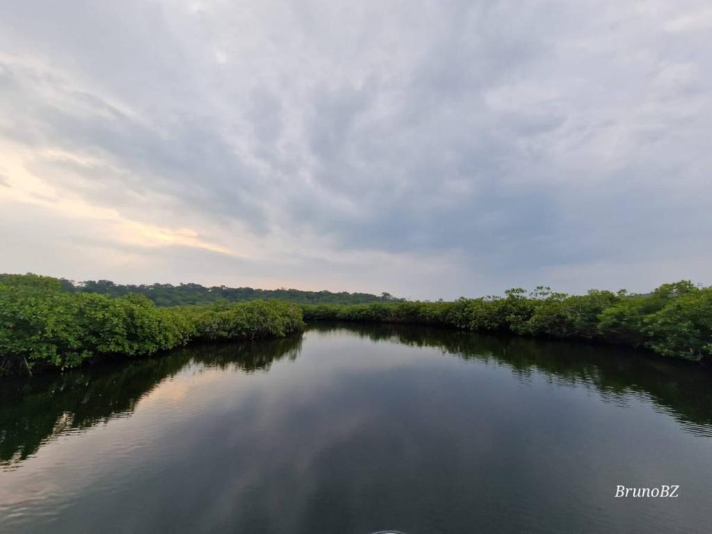 listing image with ID 105724