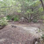 listing image thumbnail with ID 101624