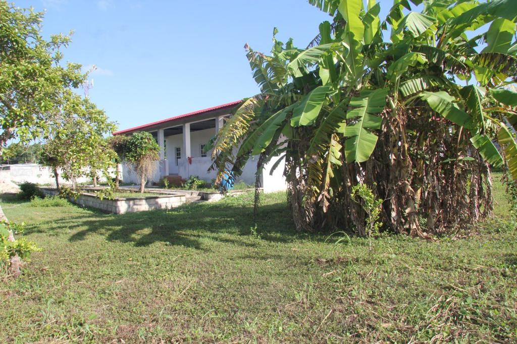 listing image with ID 103714