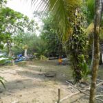 listing image thumbnail with ID 82842
