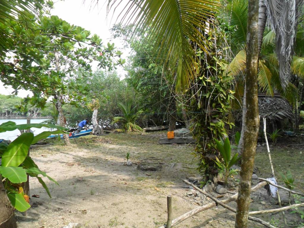 listing image with ID 82842
