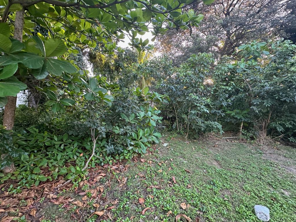 listing image with ID 107204