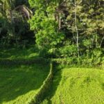 listing image thumbnail with ID 106733