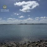 listing image thumbnail with ID 83961