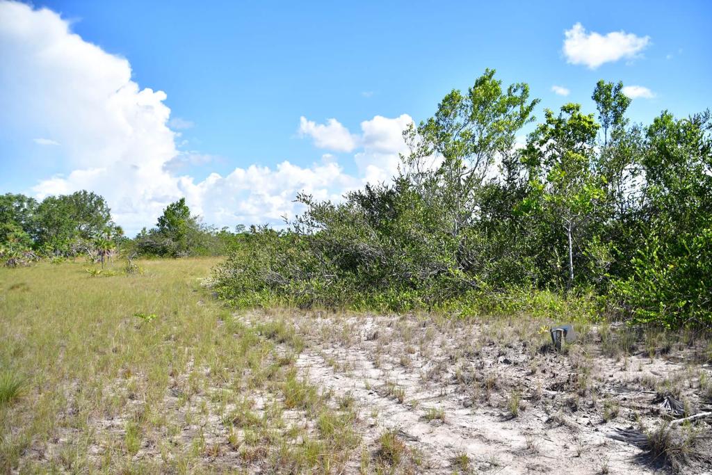 listing image with ID 108588