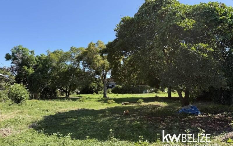 listing image with ID 108259
