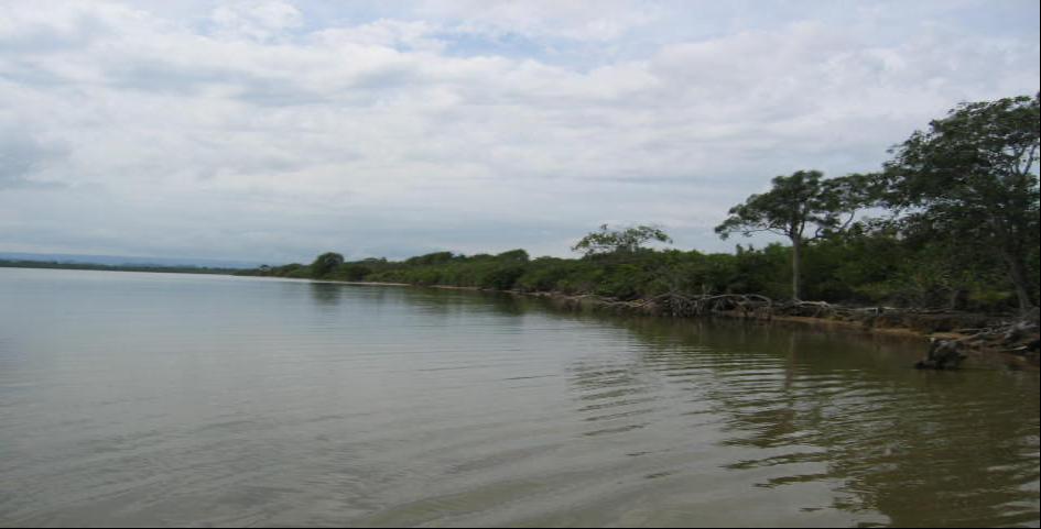 listing image with ID 83257