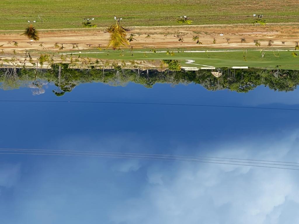 listing image with ID 82076