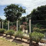 listing image thumbnail with ID 107086