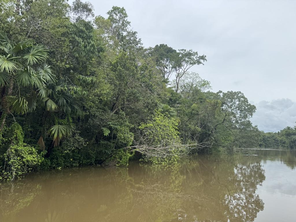 listing image with ID 95843