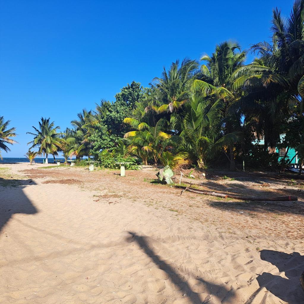 listing image with ID 102890