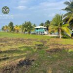 listing image thumbnail with ID 99843