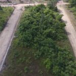 listing image thumbnail with ID 93903