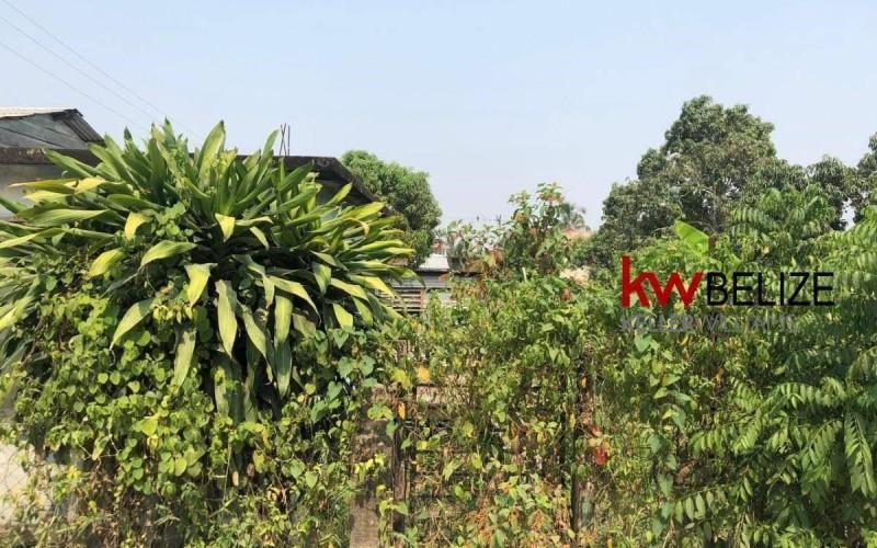 listing image with ID 97518