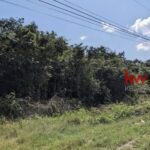listing image thumbnail with ID 92836
