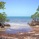listing image thumbnail with ID 97199