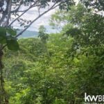 listing image thumbnail with ID 94445