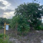 listing image thumbnail with ID 97414