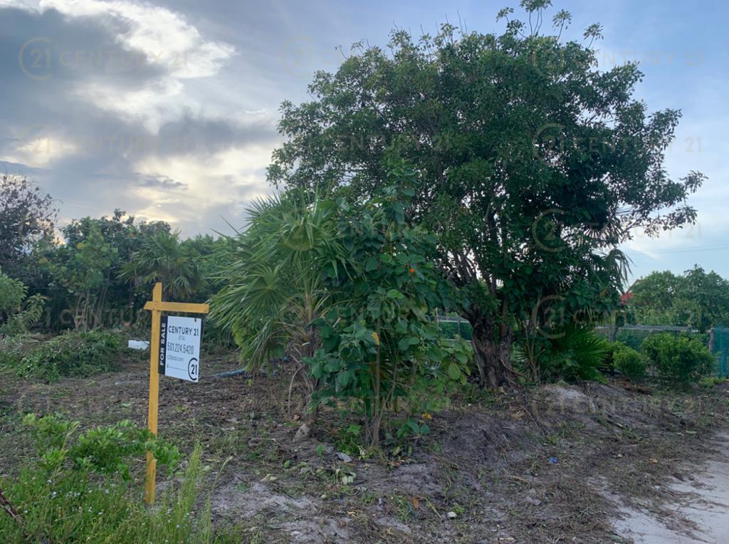 listing image with ID 97414