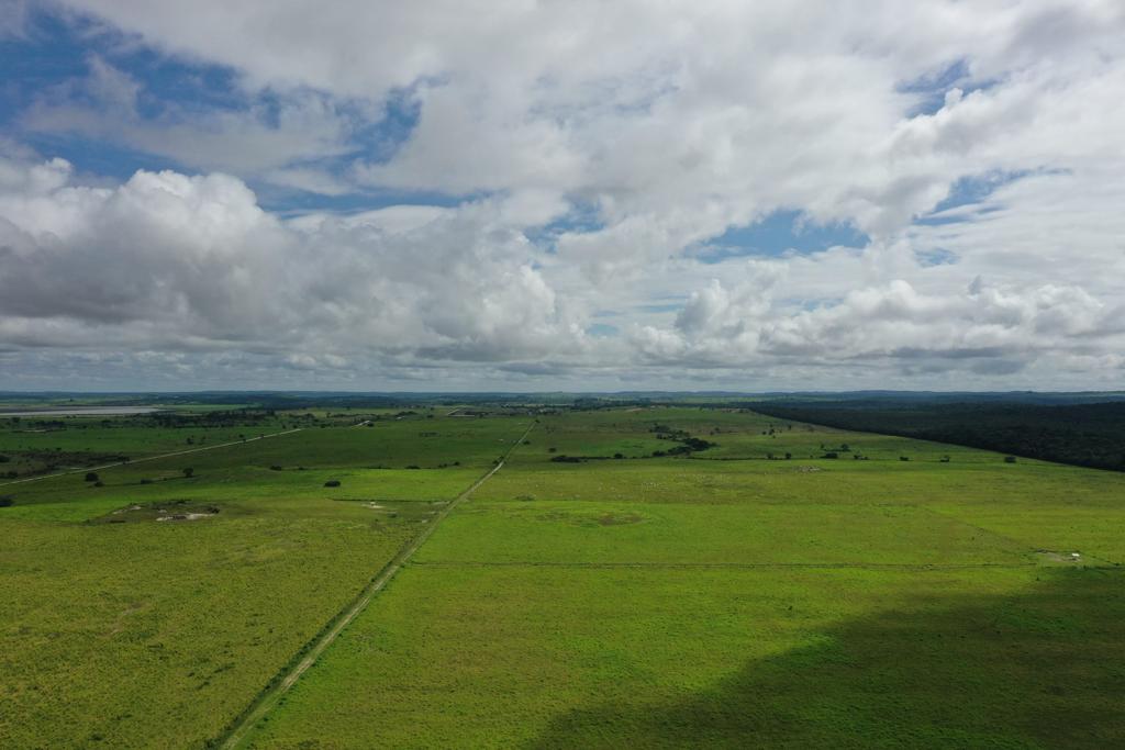listing image with ID 82798