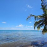 listing image thumbnail with ID 75917