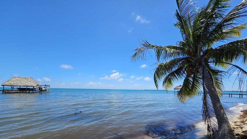 listing image with ID 75917
