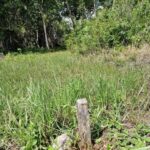 listing image thumbnail with ID 76760