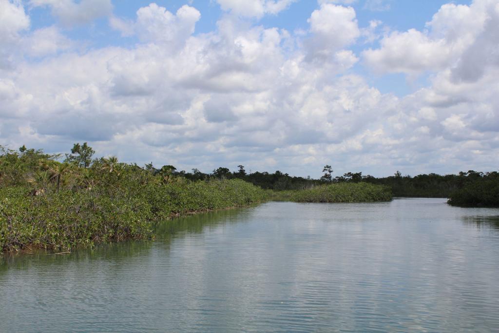 listing image with ID 96114