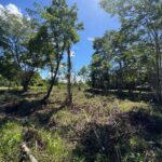 listing image thumbnail with ID 106084