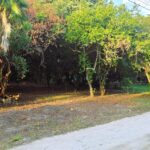 listing image thumbnail with ID 87767