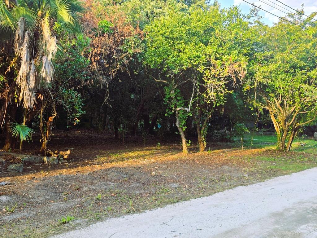 listing image with ID 87767